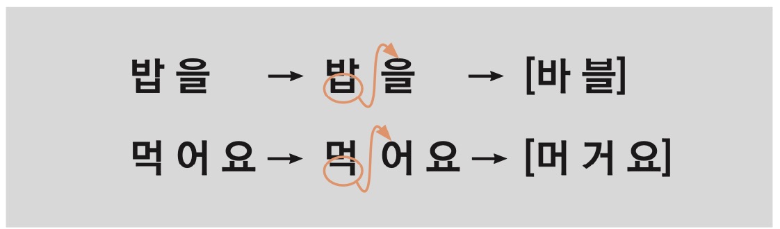 vowel and consonant